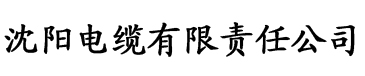 91香蕉视频完整大全电缆厂logo